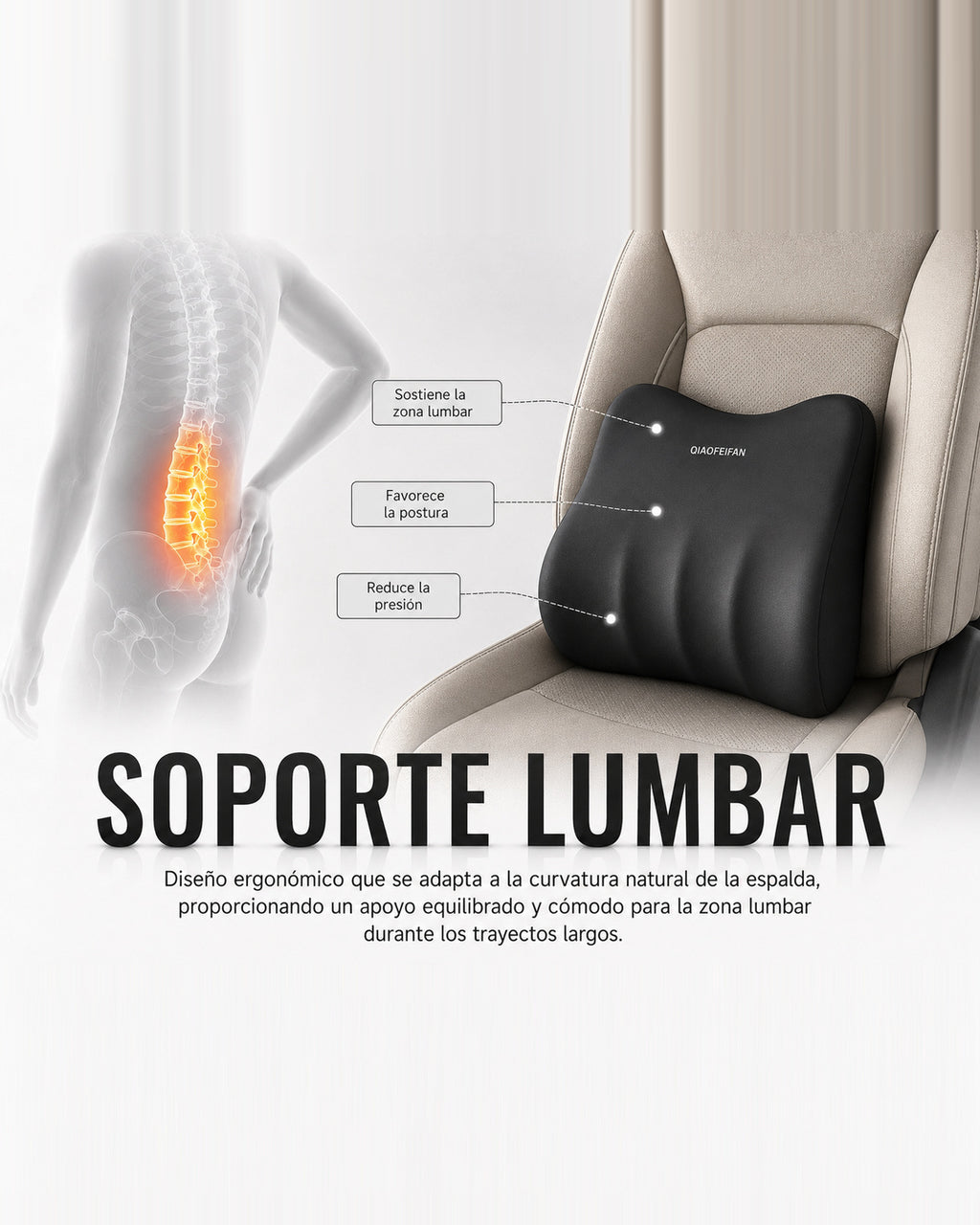 Conjunto lumbar y cervical para conductores
